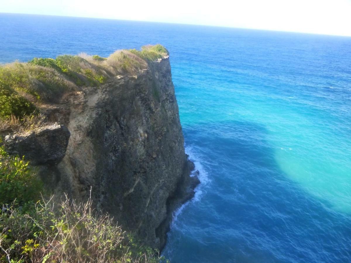 Les Gites Kajou Буйант Экстерьер фото